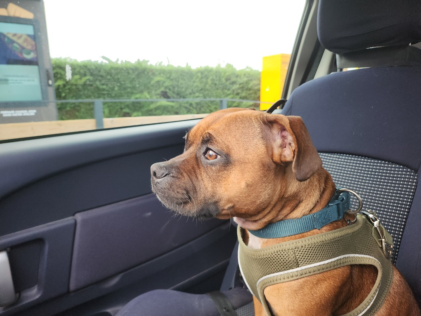 Wylo les As de l'Anjou (Sans Affixe)